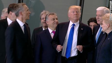 Trump NATO